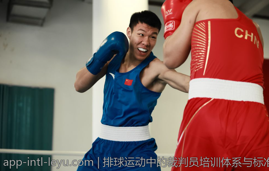 排球运动中的裁判员培训体系与标准提升措施